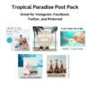 Tropical Paradise Post Pack - Image 2